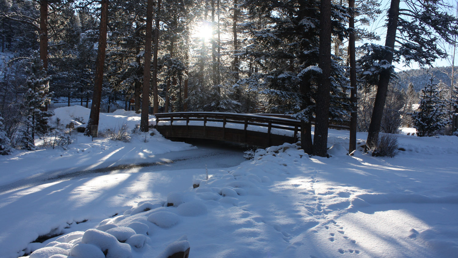 Bridge in winter