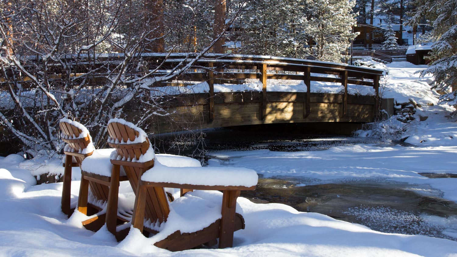 River Stone and Bear paw bridge in winter close up