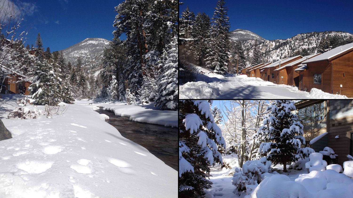 River Stone and Bear paw winter