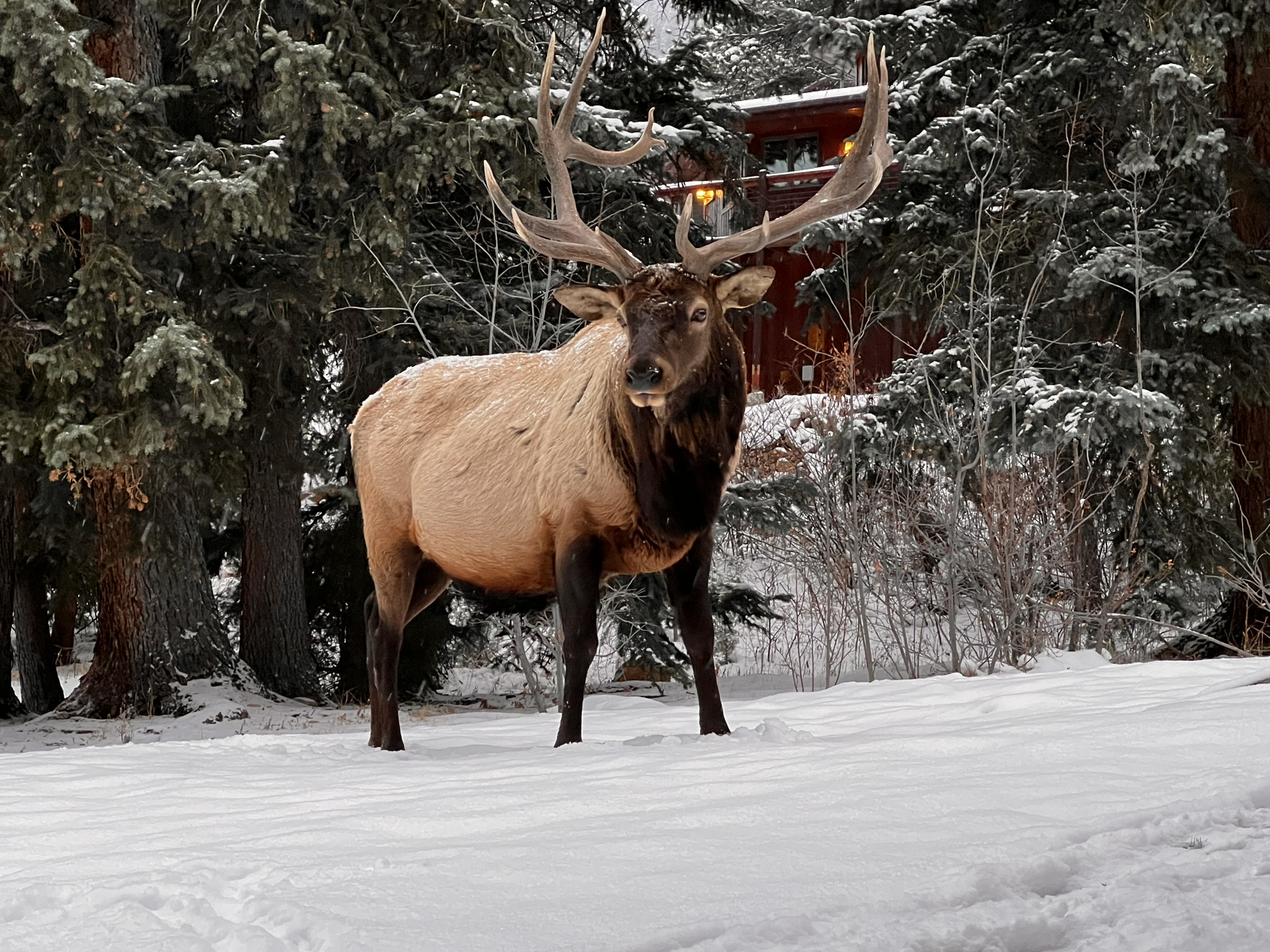 River Stone Resorts and Bear Paw Suites at sunset mountains